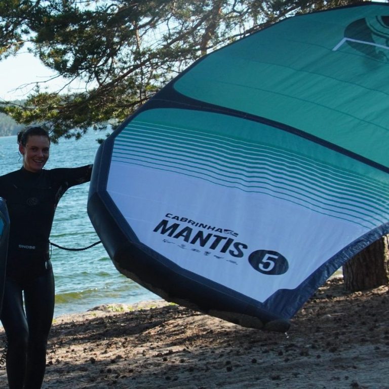 Wing der im Wind gehalten wird